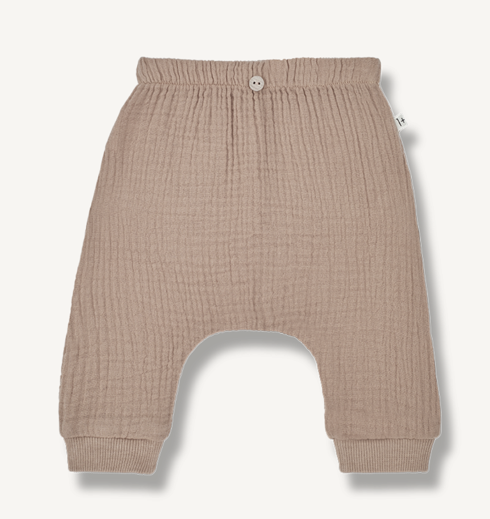 1+ in the Family Broek tetra clay